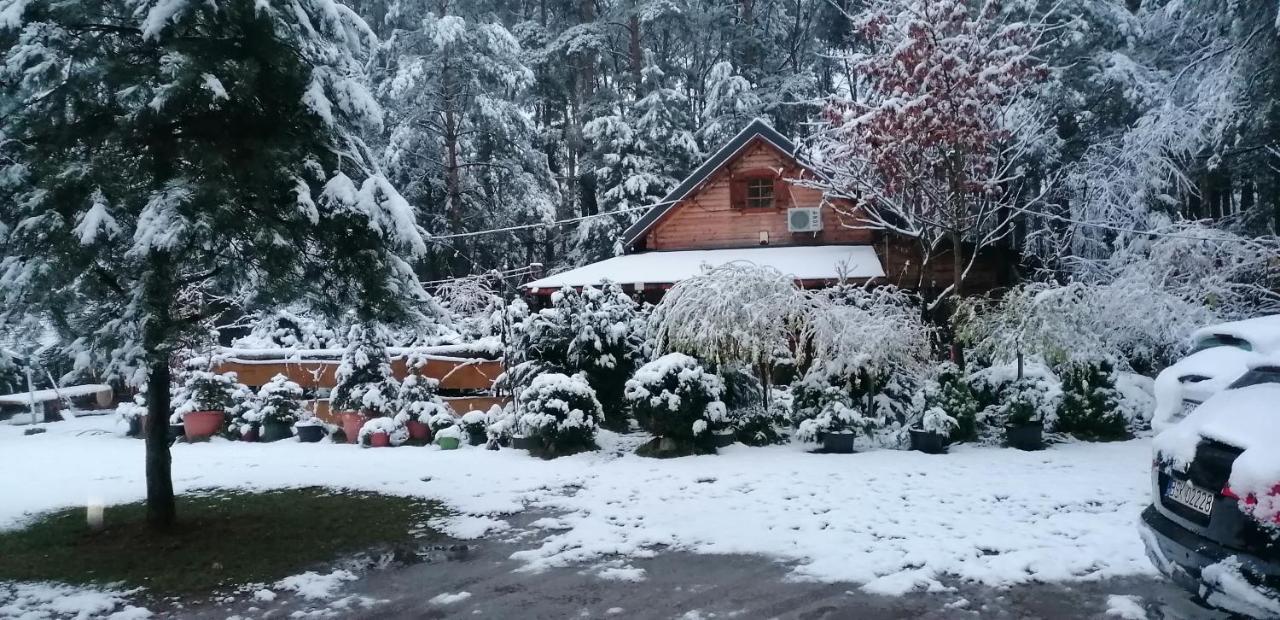 Domek W Ogrodzie Caloroczny 800M Od Parku Wodnego Suntago Ranczo Gold Mania Krzyzowka  Esterno foto